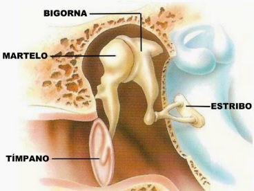 ossos-ouvido