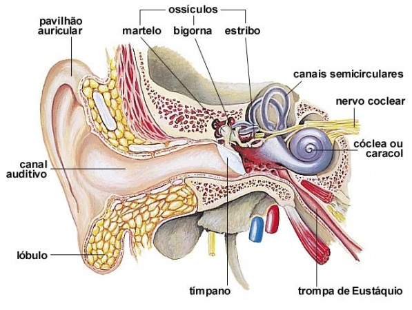 aparelho-auditivo