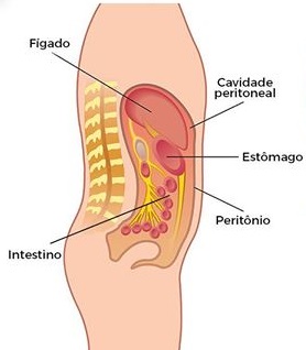 cavidade-peritoneal