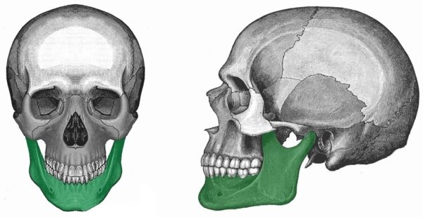 osso-mandíbula