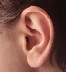 cartilagem-da-orelha